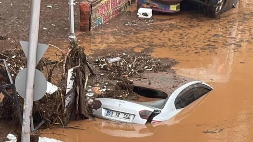 Bir bu eksikti! Depremin ve sel felaketinin vurduğu kentte yılan dehşeti: Yılanlar her yere saçıldı 2